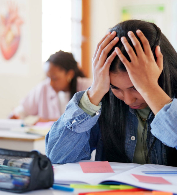 Planes emociones CAPI