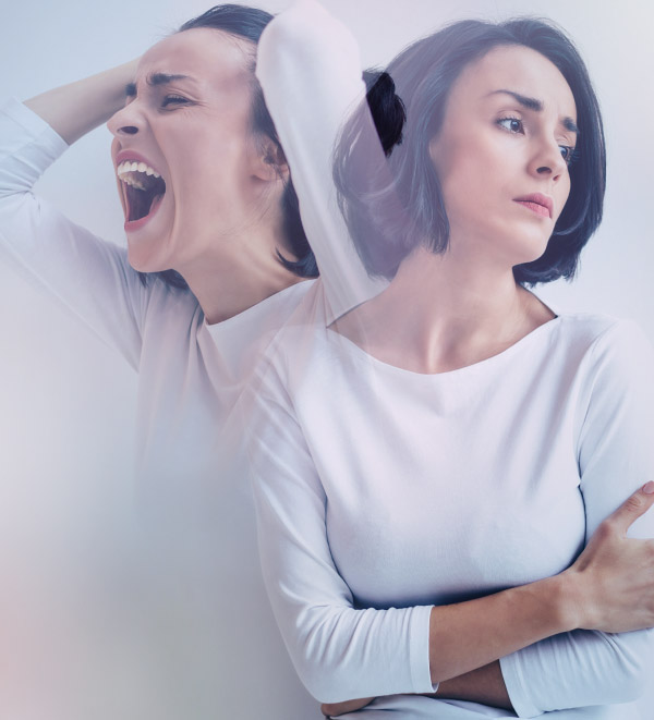 Planes emociones CAPI